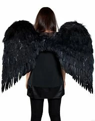 Spirit Halloween 3 ft Black Feather Wings