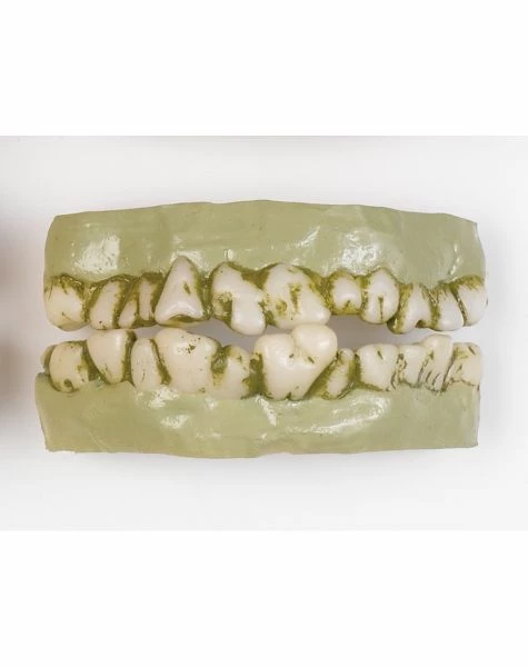 Spirit Halloween Monster Horror Teeth 1 Spirit Halloween Monster Horror Teeth