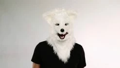 Spirit Halloween Moving Mouth White Wolf Full Mask -Halloween ACCESSORIES store 01271527 AVS