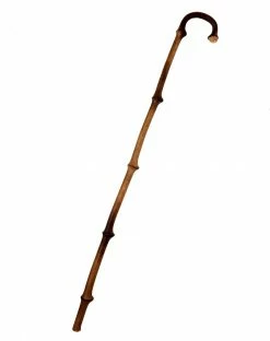 Spirit Halloween Walking Cane