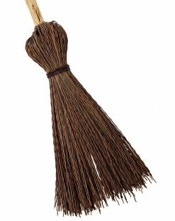 Spirit Halloween Hocus Pocus Broom - Disney -Halloween ACCESSORIES store 01446608 c
