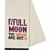 Spirit Halloween Full Moon Dish Towel - Hocus Pocus