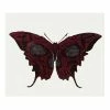 Spirit Halloween Butterfly Skull Temporary Tattoo