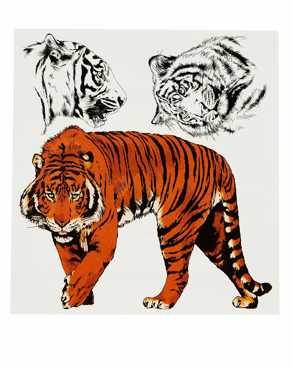 Spirit Halloween Big Cat Temporary Tattoos 2 Spirit Halloween Big Cat Temporary Tattoos - Image 2