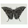 Spirit Halloween Moth Butterfly Temporary Tattoo