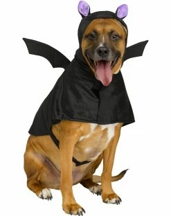 Spirit Halloween Bat Pet Costume