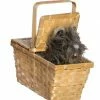 Spirit Halloween Toto in a Basket - The Wizard of Oz