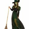 Spirit Halloween Adult Wicked Witch Costume - The Wizard of Oz