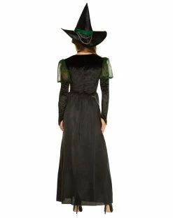 Spirit Halloween Adult Wicked Witch Costume - The Wizard of Oz -Halloween ACCESSORIES store 01601095 b