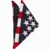 Spirit Halloween American Flag Bandana