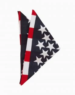Spirit Halloween American Flag Bandana