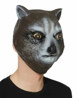 Spirit Halloween Raccoon Full Mask -Halloween ACCESSORIES store 07390750 b