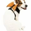 Spirit Halloween Orange Web Wings Pet Harness