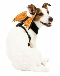Spirit Halloween Orange Web Wings Pet Harness