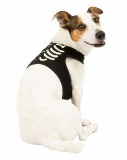Spirit Halloween Skeleton Pet Harness