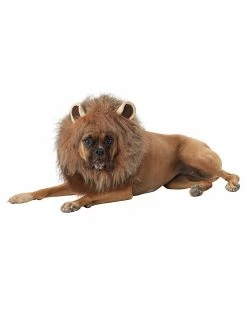Spirit Halloween King of The Jungle Pet Costume -Halloween ACCESSORIES store 07581432 b